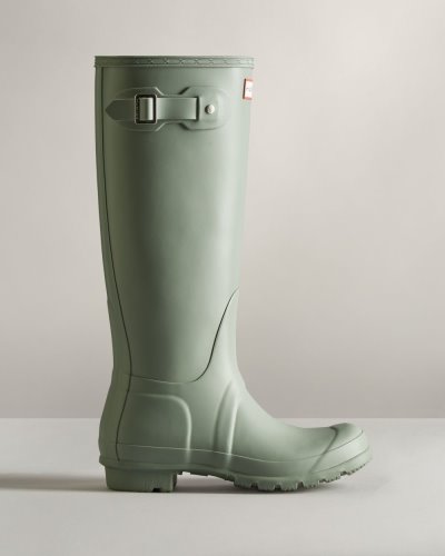 Light Green Women's Hunter Original Tall Rain Boot Tall Rain Boots South Africa | SKBBL1N