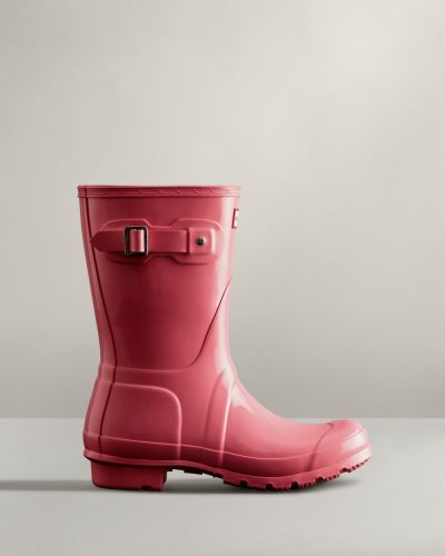 Pink Women's Hunter Original Short Gloss Rain Boot Short Rain Boots South Africa | L0BR407