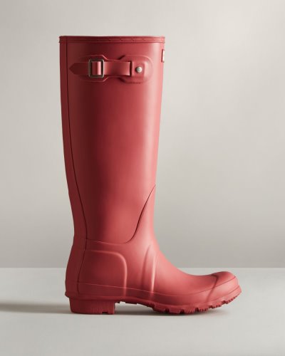 Rose Women's Hunter Original Tall Rain Boot Tall Rain Boots South Africa | 8MTQU7P