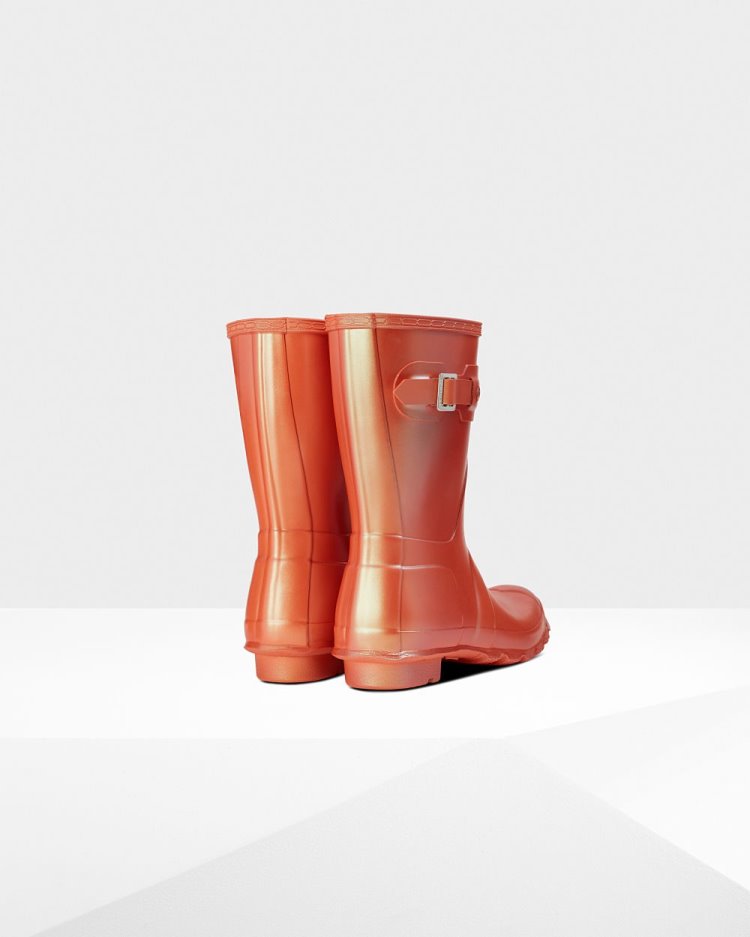 Orange Women's Hunter Nebula Short Rain Boot Short Rain Boots South Africa | D4JG3AX