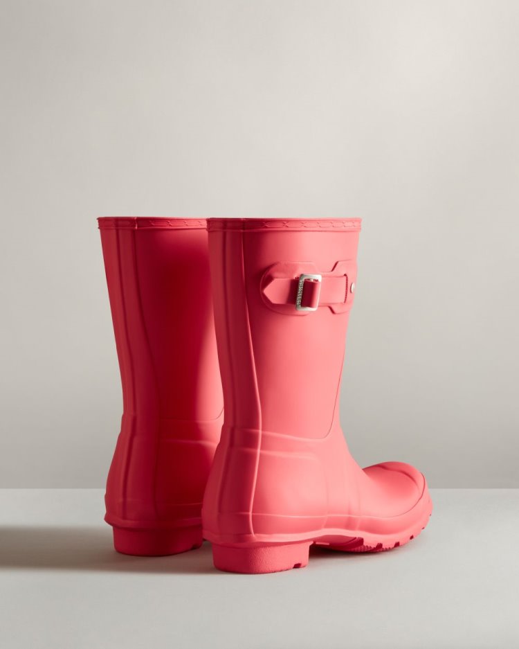 Pink Women's Hunter Original Short Rain Boot Short Rain Boots South Africa | 9Z65GWH